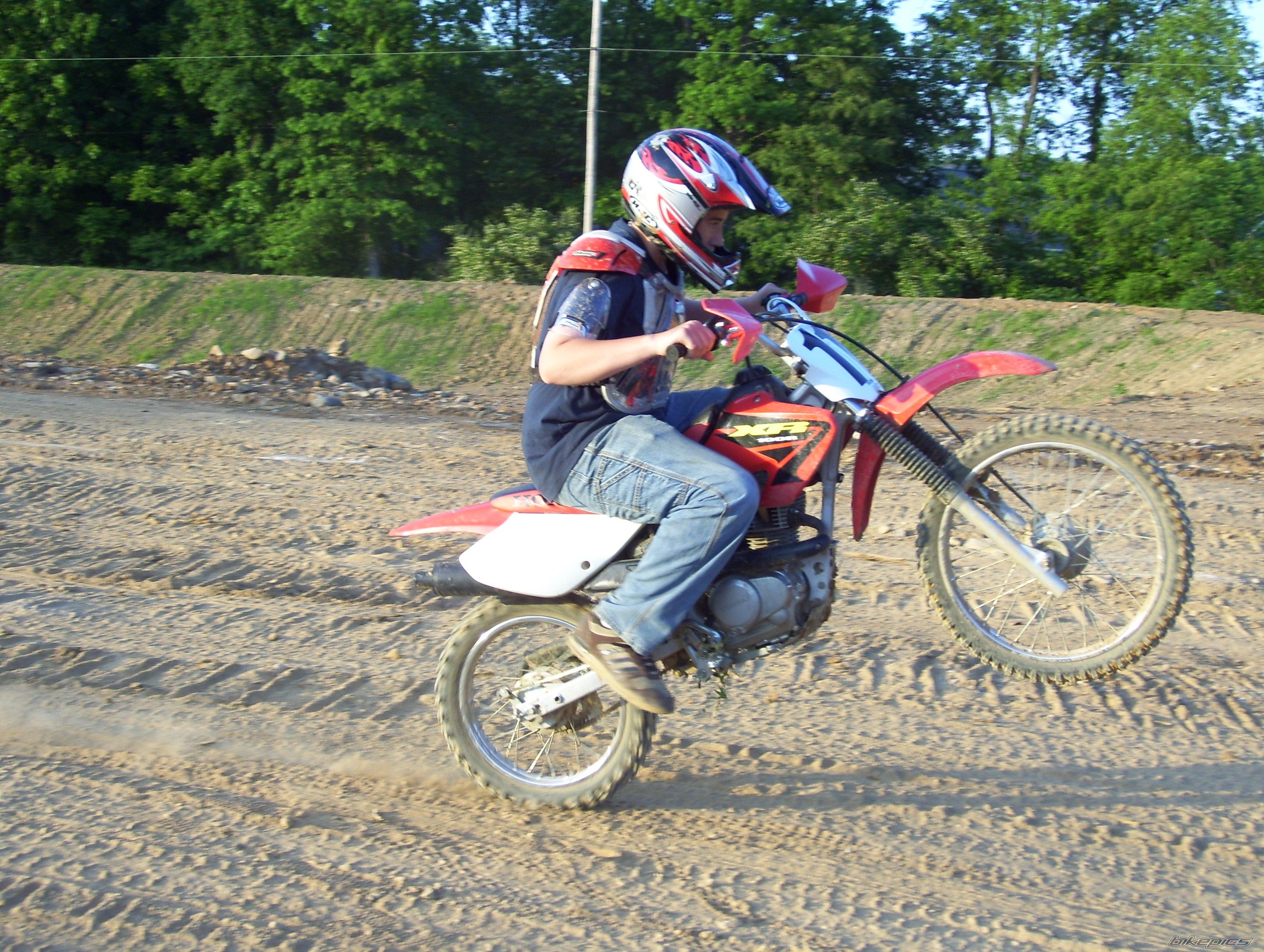 2004 HONDA XR 100 | Picture 916176 motorcycle photo