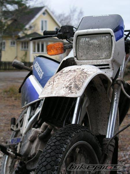 1987 HONDA MTX 125 | Picture 91623 motorcycle photo