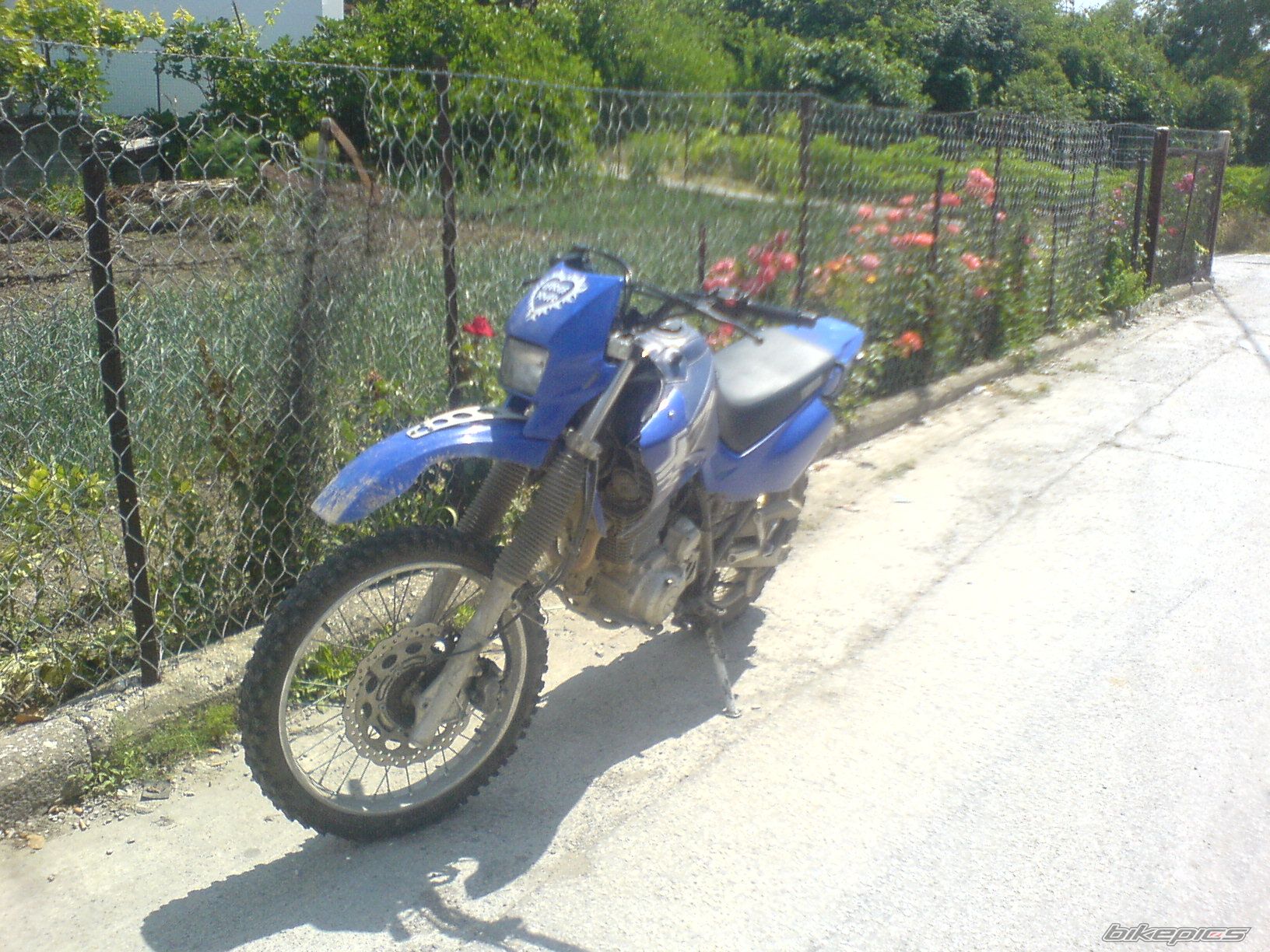 2008 YAMAHA XT 600 | Picture 916269 motorcycle photo