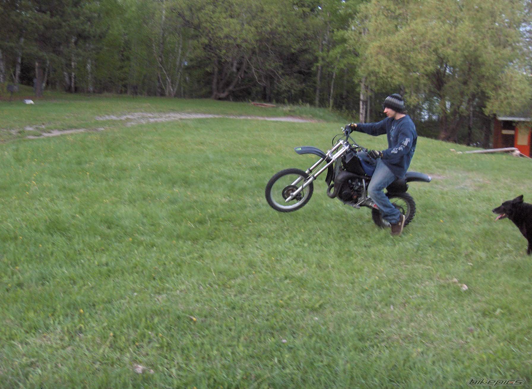 1986 KAWASAKI KX 80 | Picture 917192 motorcycle photo