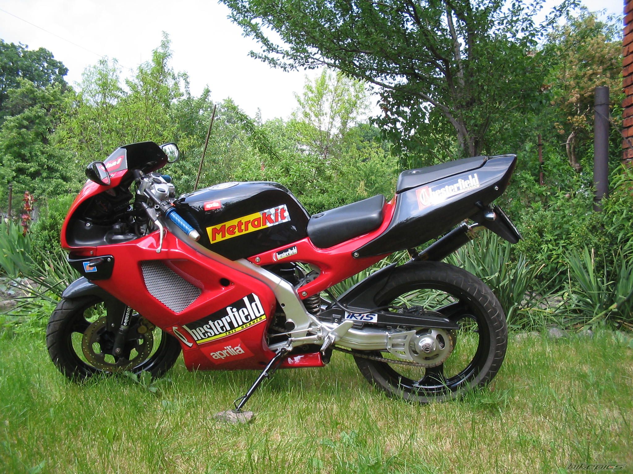 1998 APRILIA RS 50 | Picture 917613 motorcycle photo