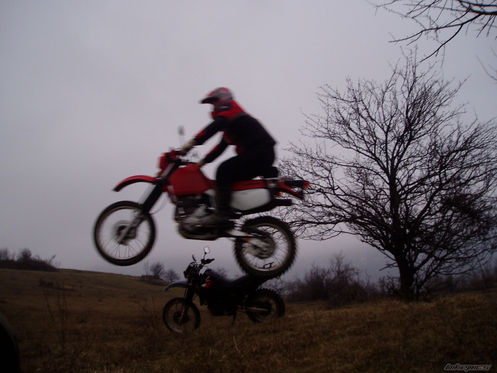 2005 HONDA XR 650 | Picture 917710 motorcycle photo