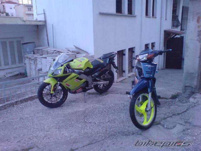 1999 HONDA SUPRA 110 | Picture 919021 motorcycle photo