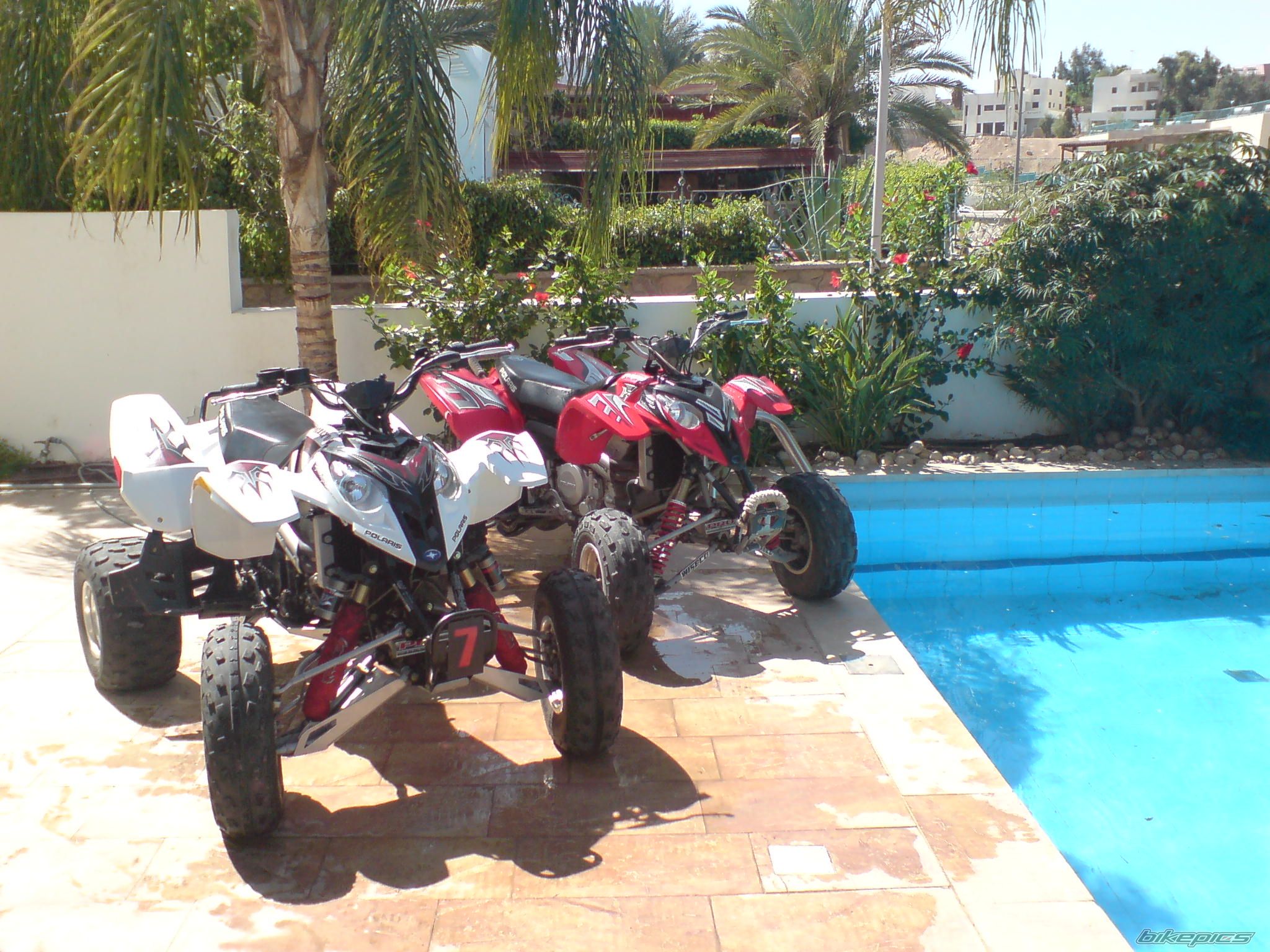 2006 POLARIS PREDATOR 500 | Picture 919038 motorcycle photo