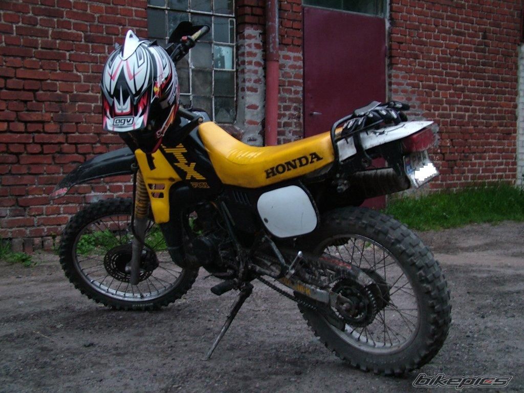 1987 HONDA MTX 80 | Picture 919231 motorcycle photo