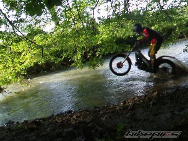 1999 MONTESA COTA 315 R | Picture 919271 motorcycle photo