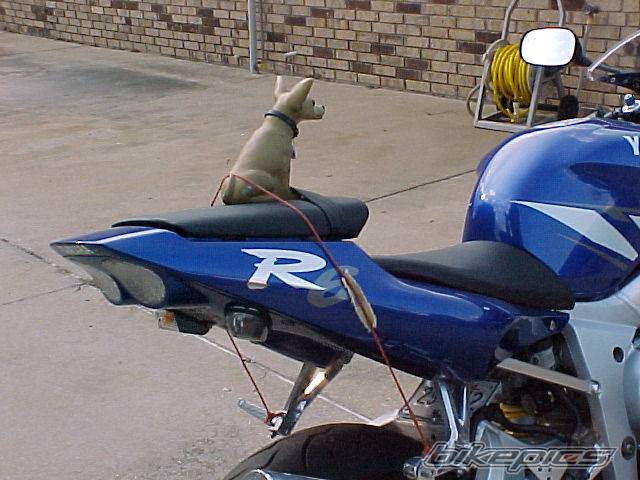 2001 YAMAHA YZF R6 | Picture 9193 motorcycle photo