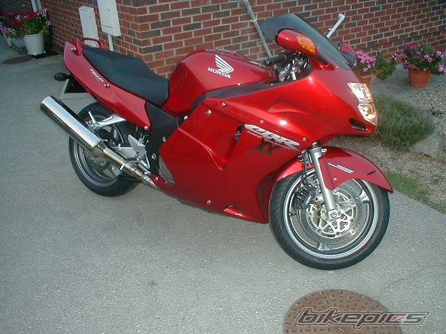 2003 HONDA CBR 1100 BLACKBIRD | Picture 91964 motorcycle photo