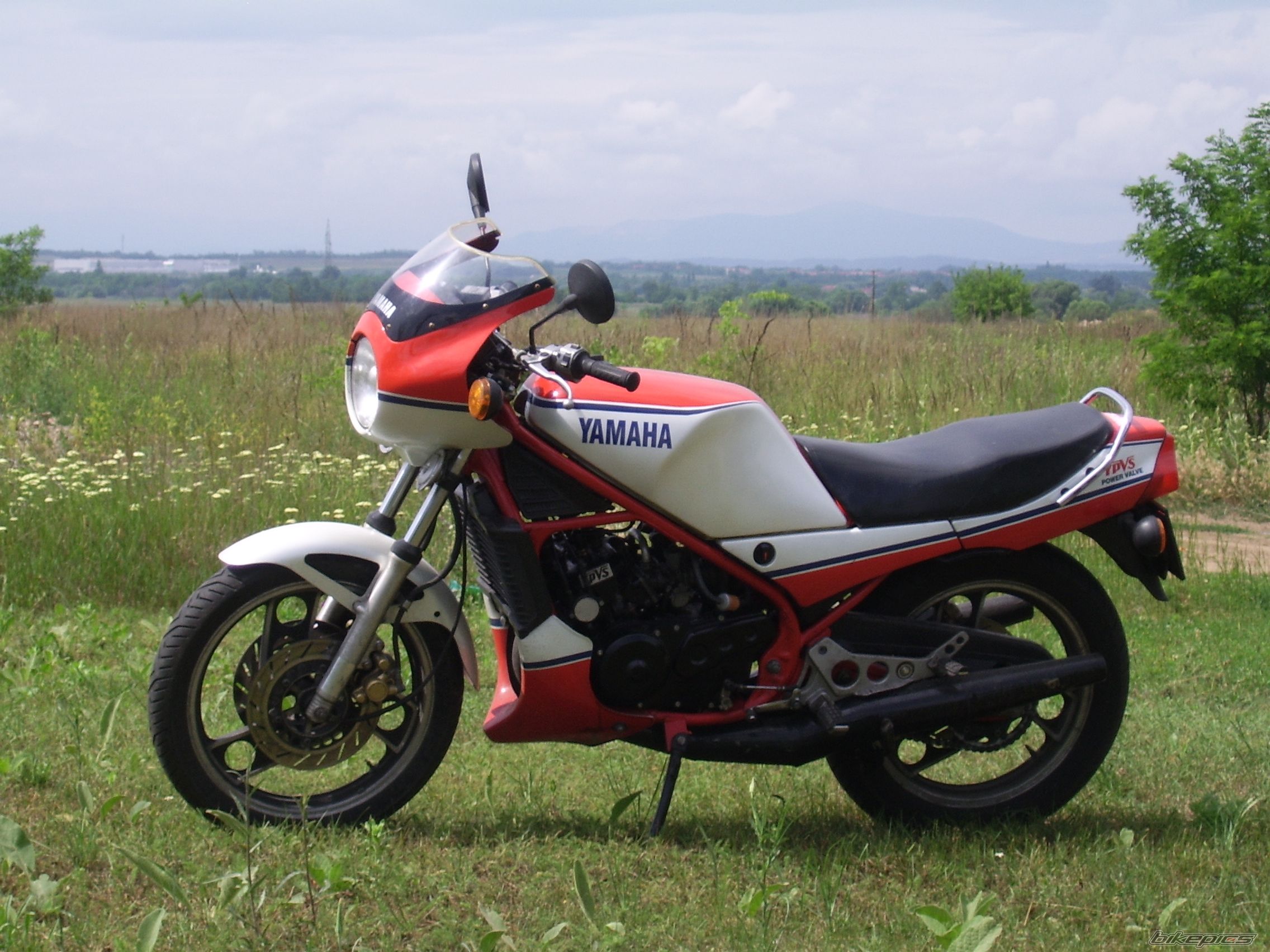 1984 YAMAHA RD 350 | Picture 919715 motorcycle photo