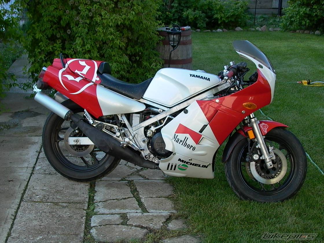 1985 YAMAHA RD 500 | Picture 91989 motorcycle photo