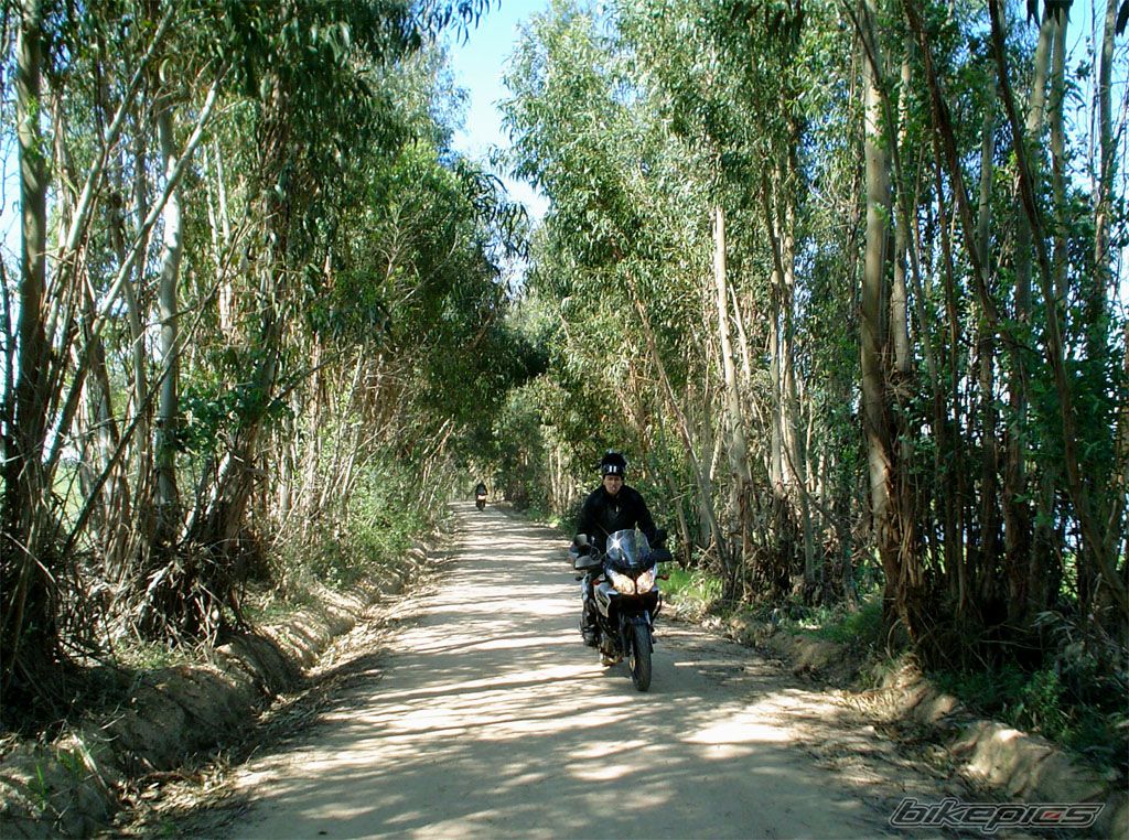 2006 SUZUKI DL 650 | Picture 920021 motorcycle photo
