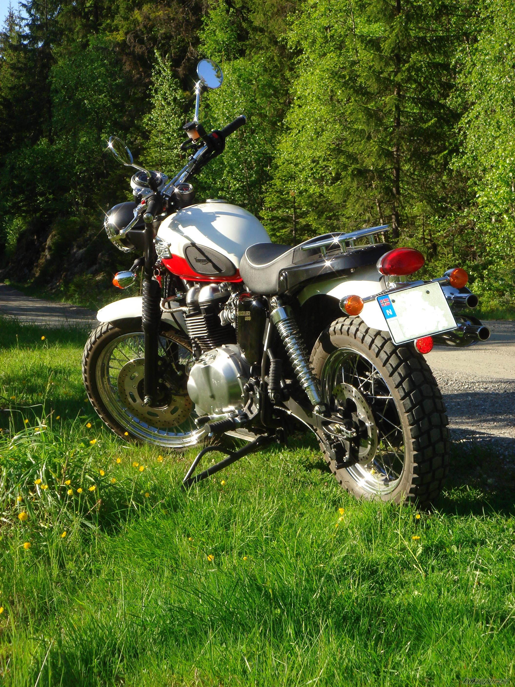 2007 TRIUMPH SCRAMBLER | Picture 920114 motorcycle photo