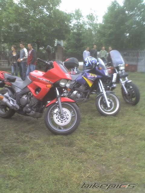 2000 KYMCO FILLY 50 | Picture 920206 motorcycle photo