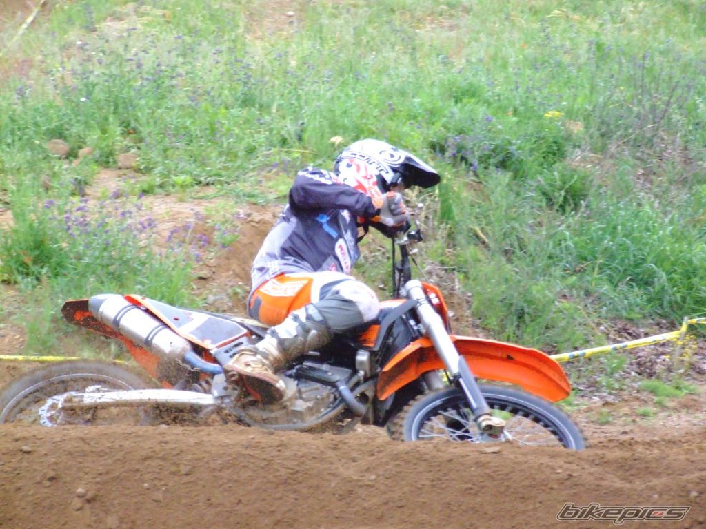 2007 KTM 450 SX | Picture 920865 motorcycle photo