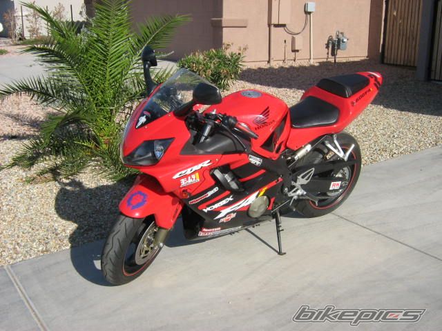 2002 HONDA CBR 600 | Picture 921504 motorcycle photo