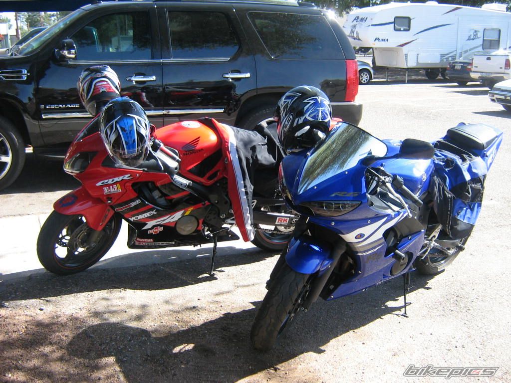 2002 HONDA CBR 600 | Picture 921510 motorcycle photo