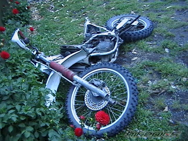 1991 HONDA CRM 250 | Picture 921620 motorcycle photo