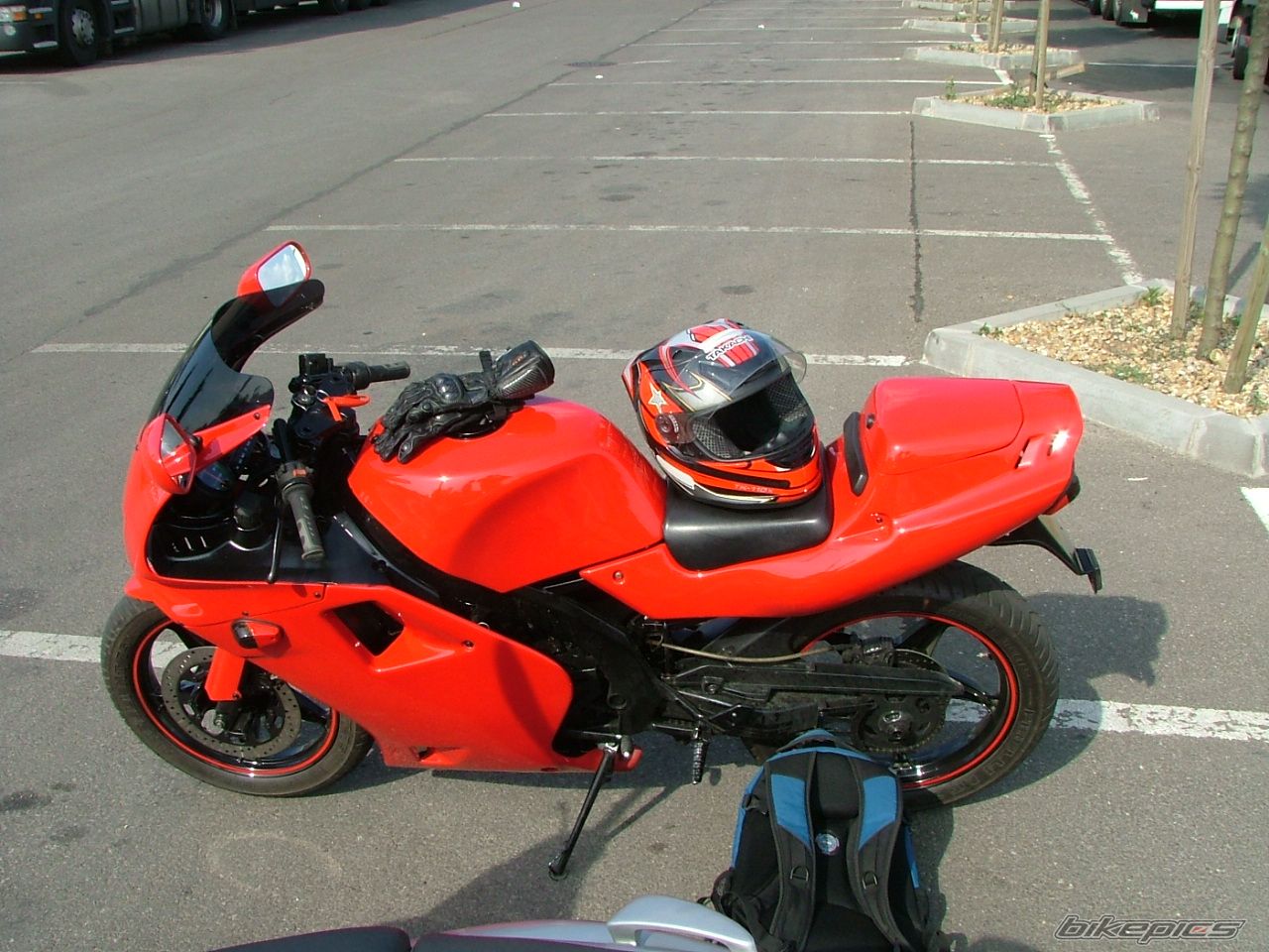 1994 APRILIA AF1 FUTURA 50 | Picture 923063 motorcycle photo