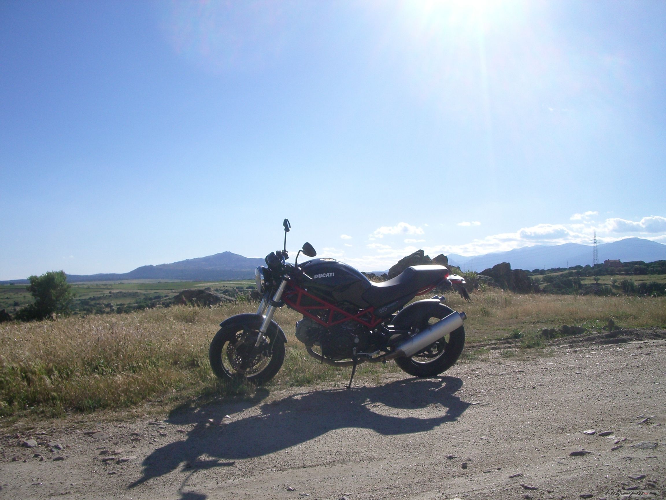 2006 DUCATI MONSTER 695 | Picture 923251 motorcycle photo