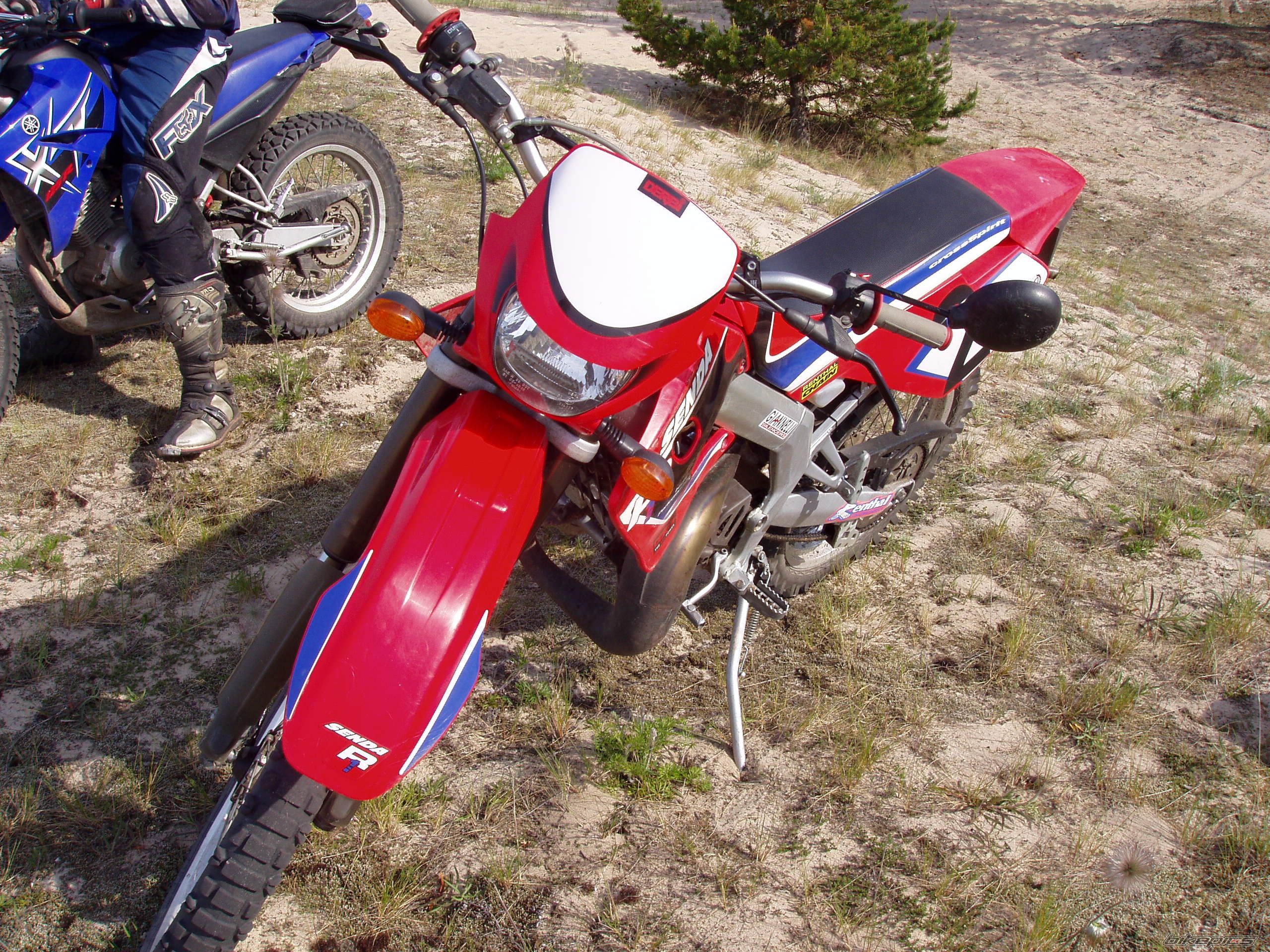 2003 DERBI SENDA R 50 | Picture 923319 motorcycle photo