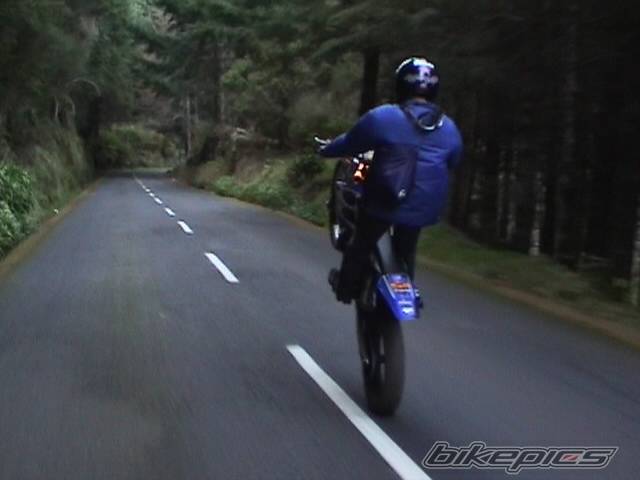 2002 GAS GAS EC 300 | Picture 92339 motorcycle photo