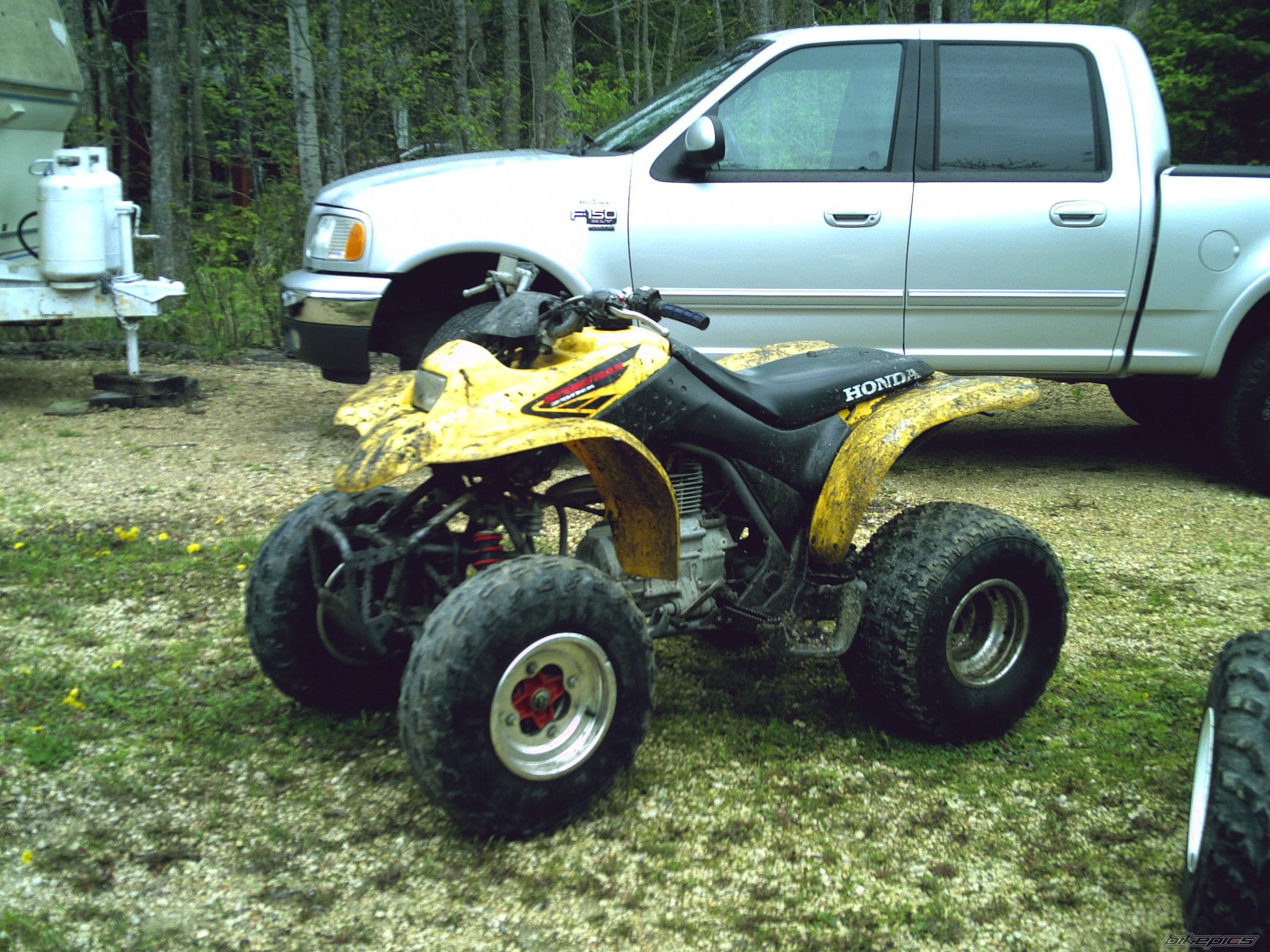 2003 POLARIS TRAIL BLAZER 250 | Picture 923390 motorcycle photo