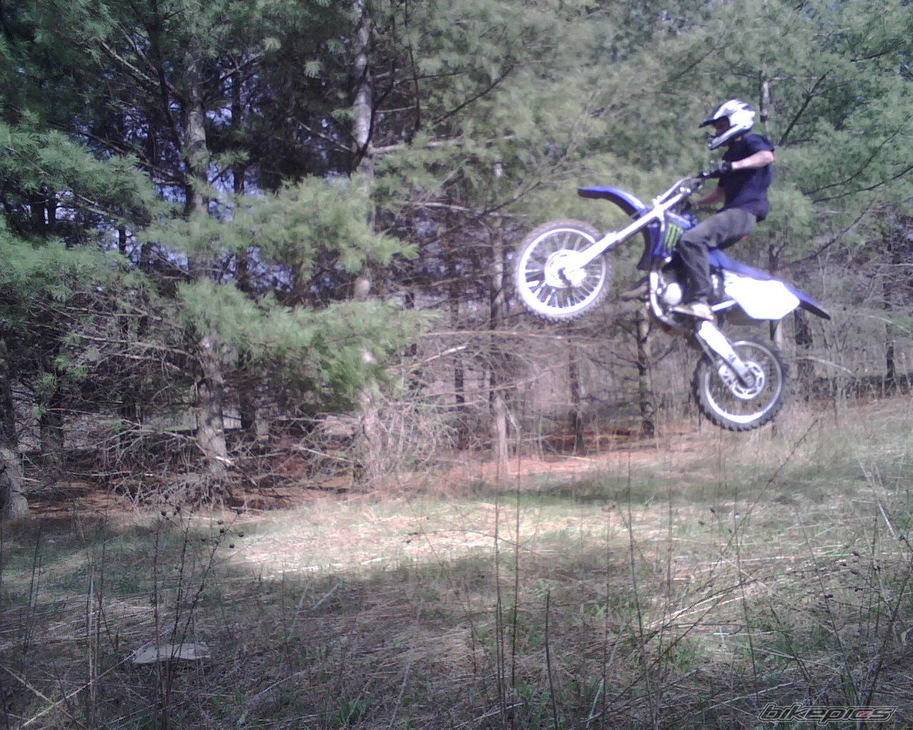 2005 YAMAHA YZ 125 | Picture 923519 motorcycle photo