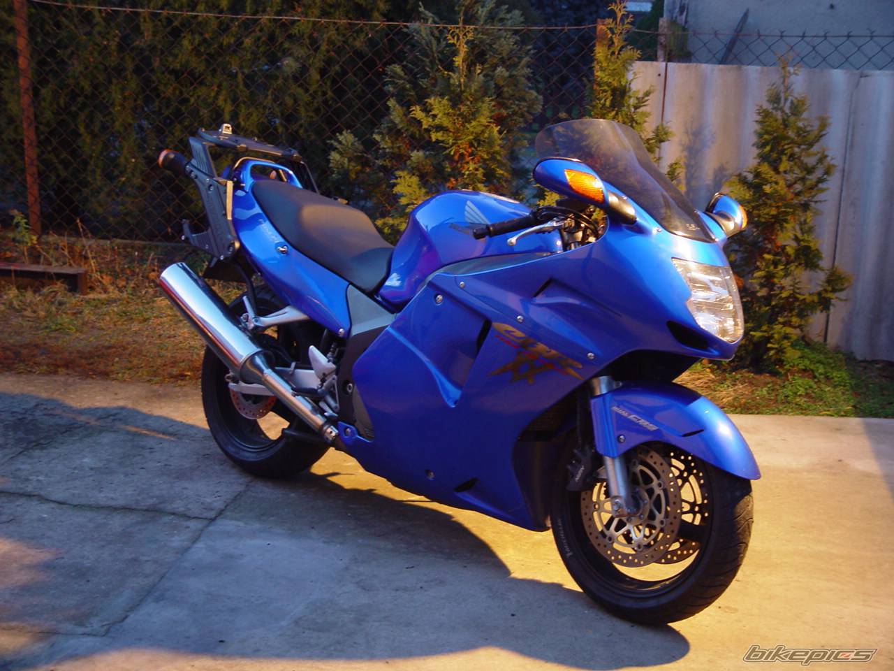 1999 HONDA CBR 1100 BLACKBIRD | Picture 92355 motorcycle photo