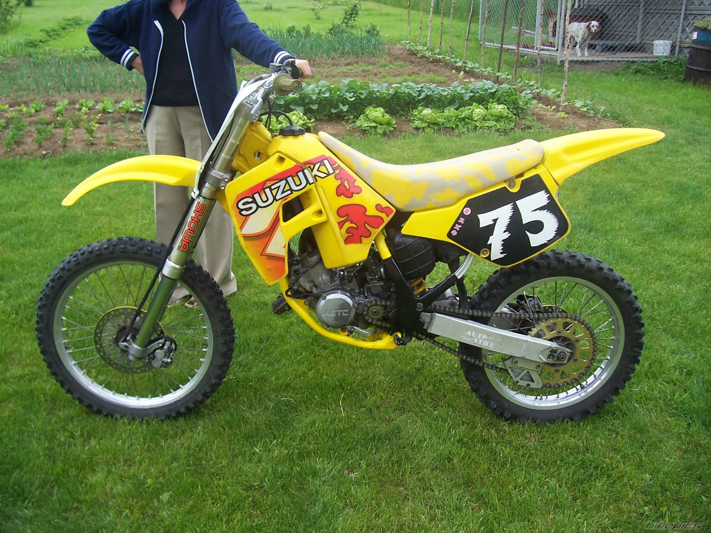 1993 SUZUKI RM 125 | Picture 923990 motorcycle photo