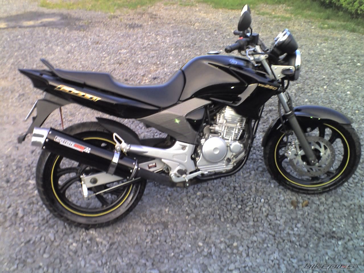 2007 YAMAHA YS 250 FAZER | Picture 924098 motorcycle photo