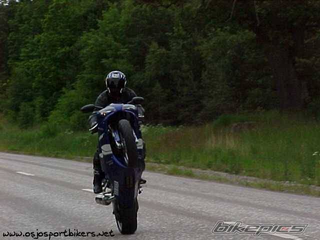 2000 YAMAHA YZF R1 | Picture 9242 motorcycle photo