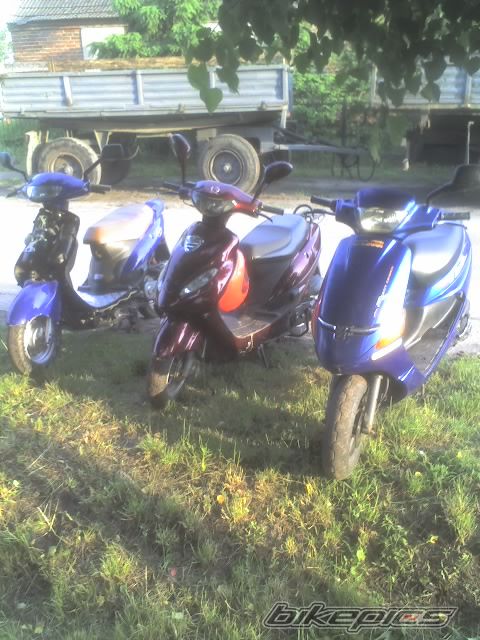 2000 KYMCO FILLY 50 | Picture 924397 motorcycle photo
