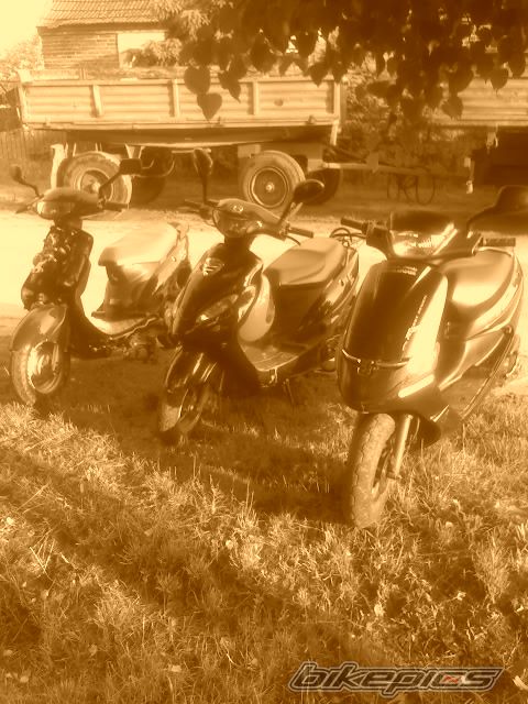 2000 KYMCO FILLY 50 | Picture 924402 motorcycle photo