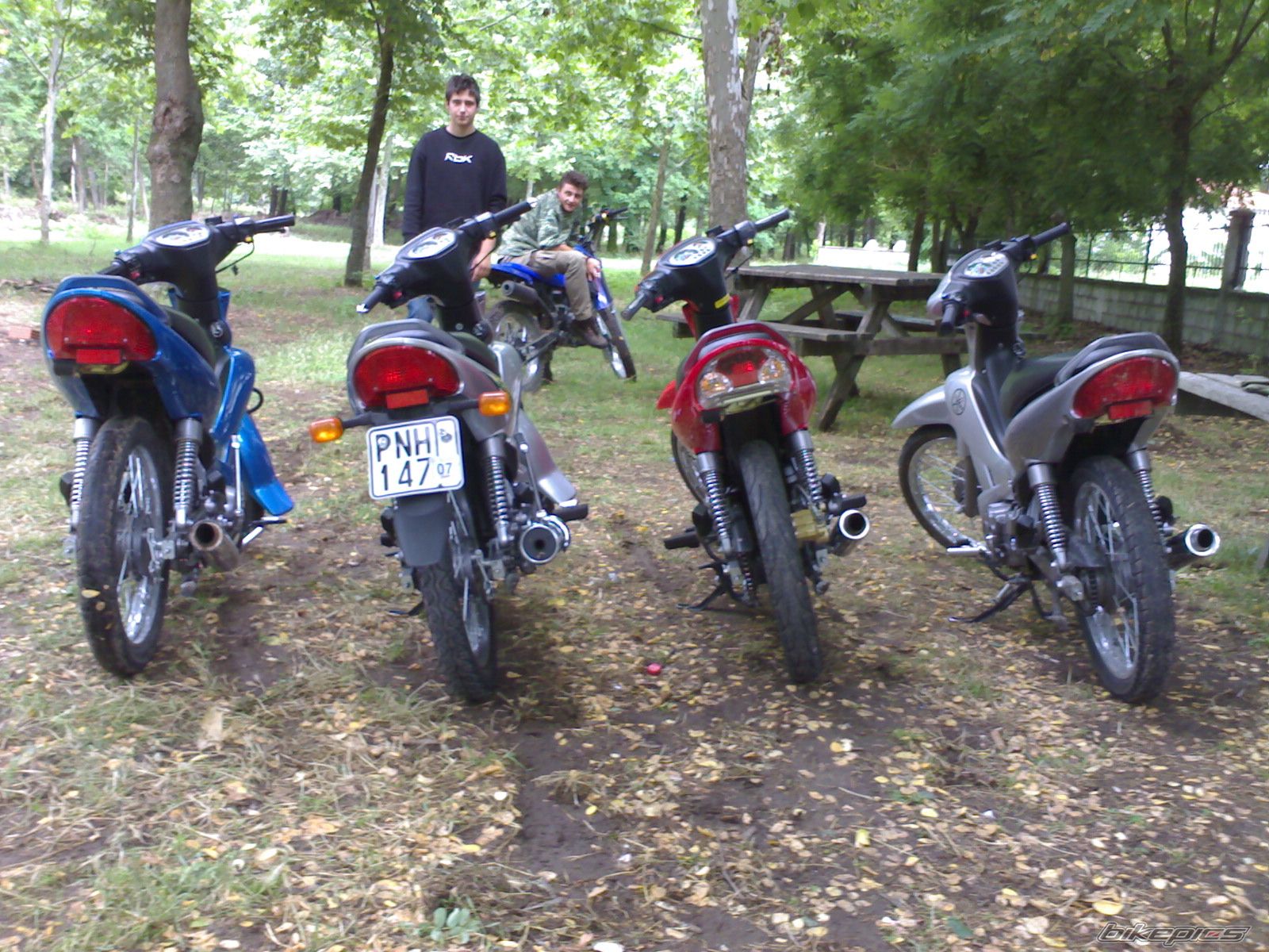 2007 YAMAHA Z 125 | Picture 924446 motorcycle photo