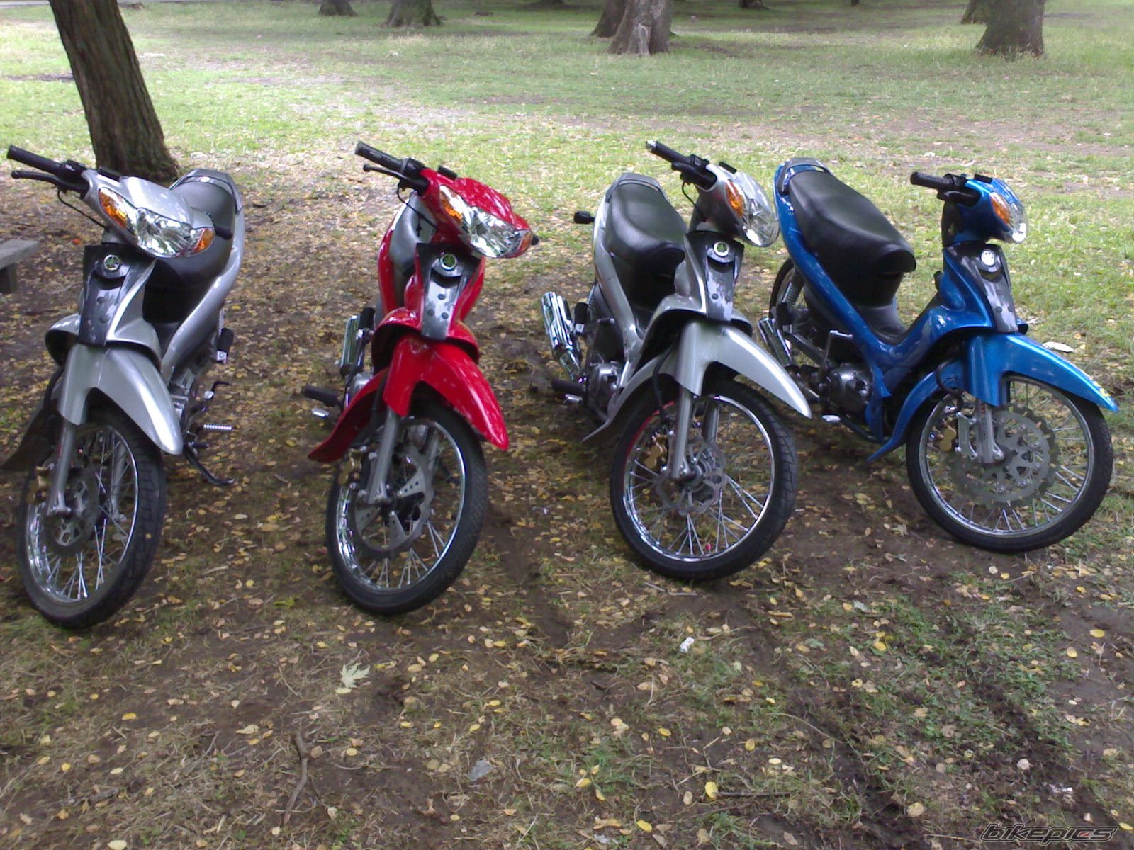 2007 YAMAHA Z 125 | Picture 924457 motorcycle photo