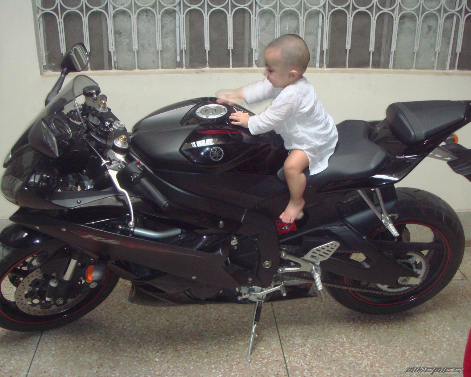 2007 YAMAHA YZF R6 | Picture 924771 motorcycle photo