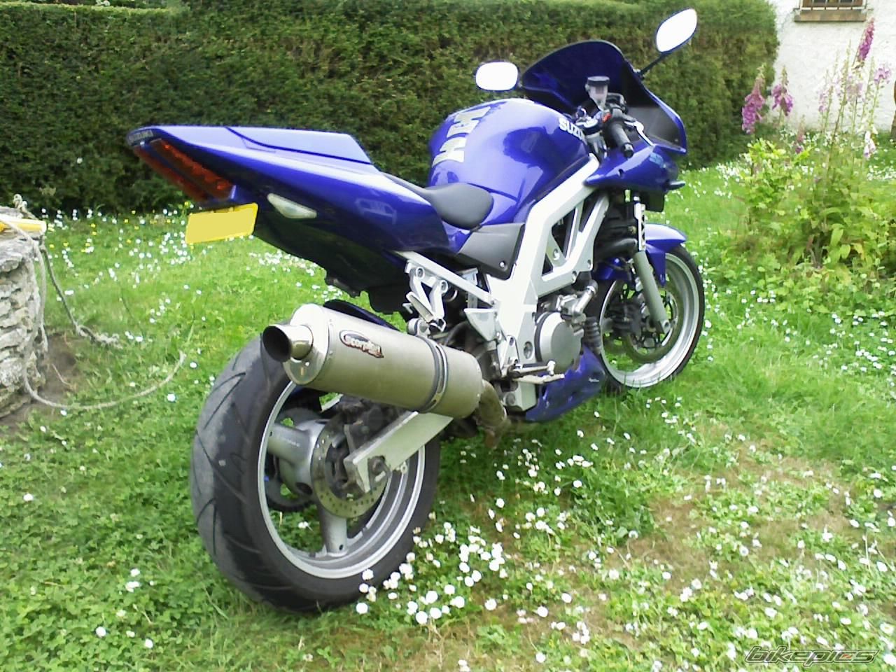2003 SUZUKI SV 650S | Picture 925205 motorcycle photo