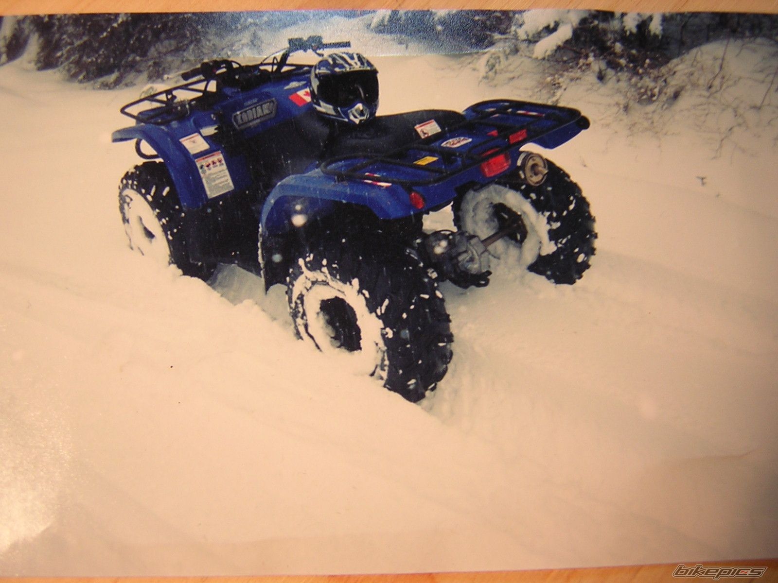 2002 YAMAHA KODIAK | Picture 925415 motorcycle photo