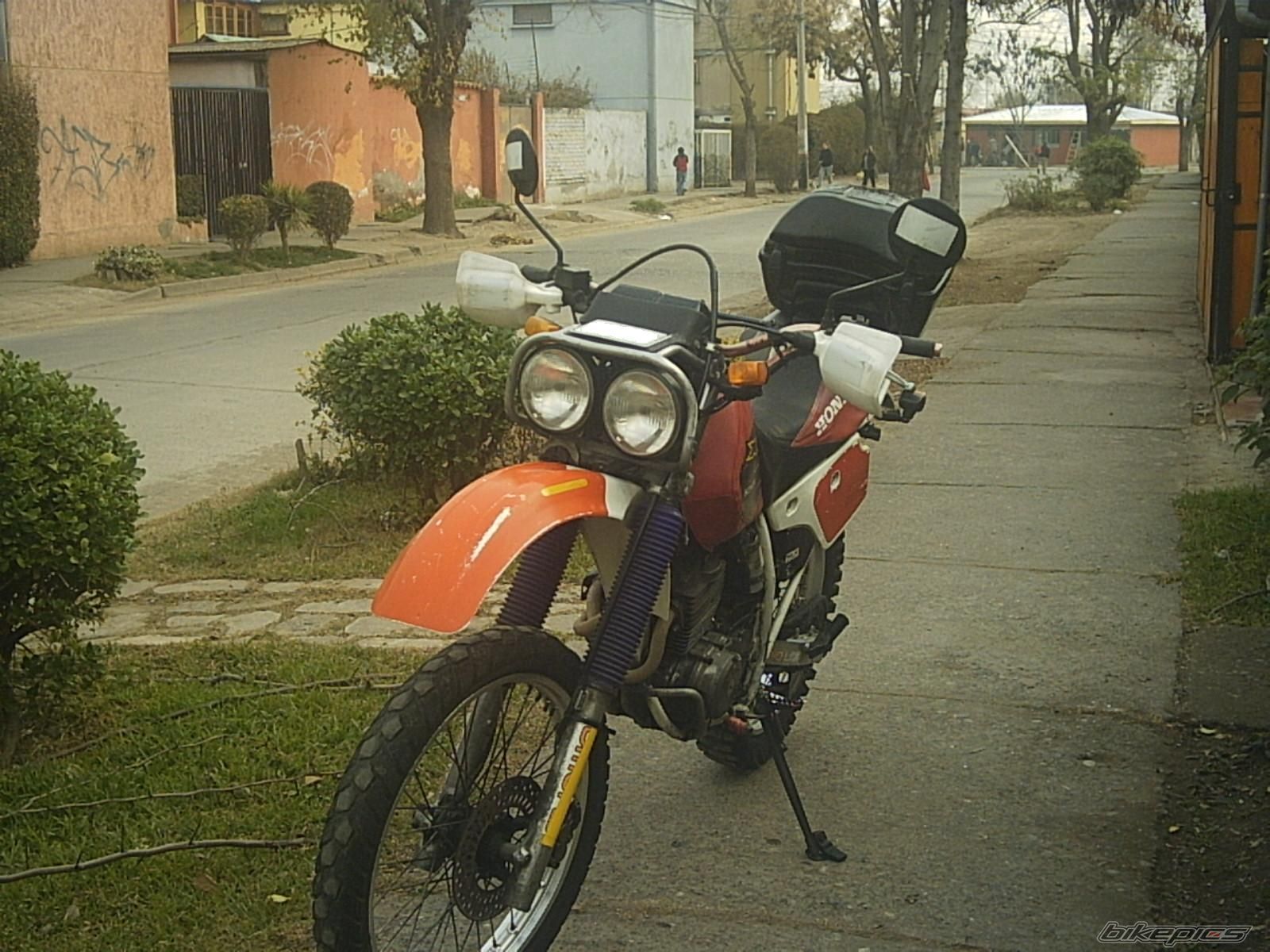 1991 HONDA XLR250BAJA | Picture 925687 motorcycle photo
