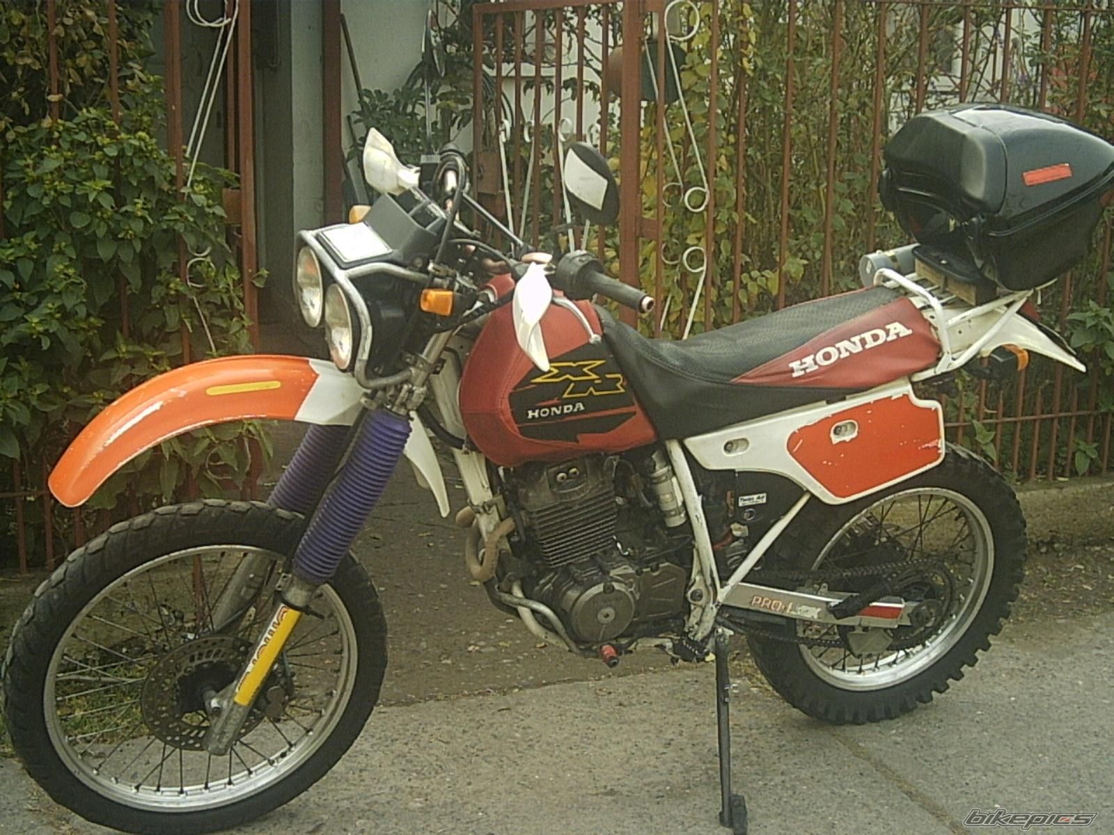 1991 HONDA XLR250BAJA | Picture 925692 motorcycle photo