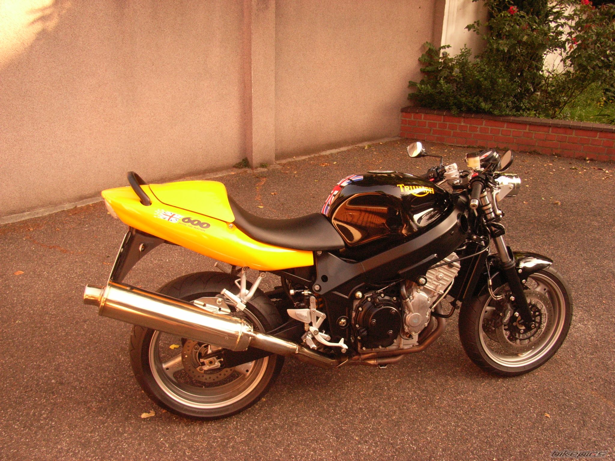 2000 TRIUMPH TT 600 | Picture 925708 motorcycle photo
