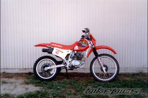 2000 HONDA XR 200 | Picture 92763 motorcycle photo