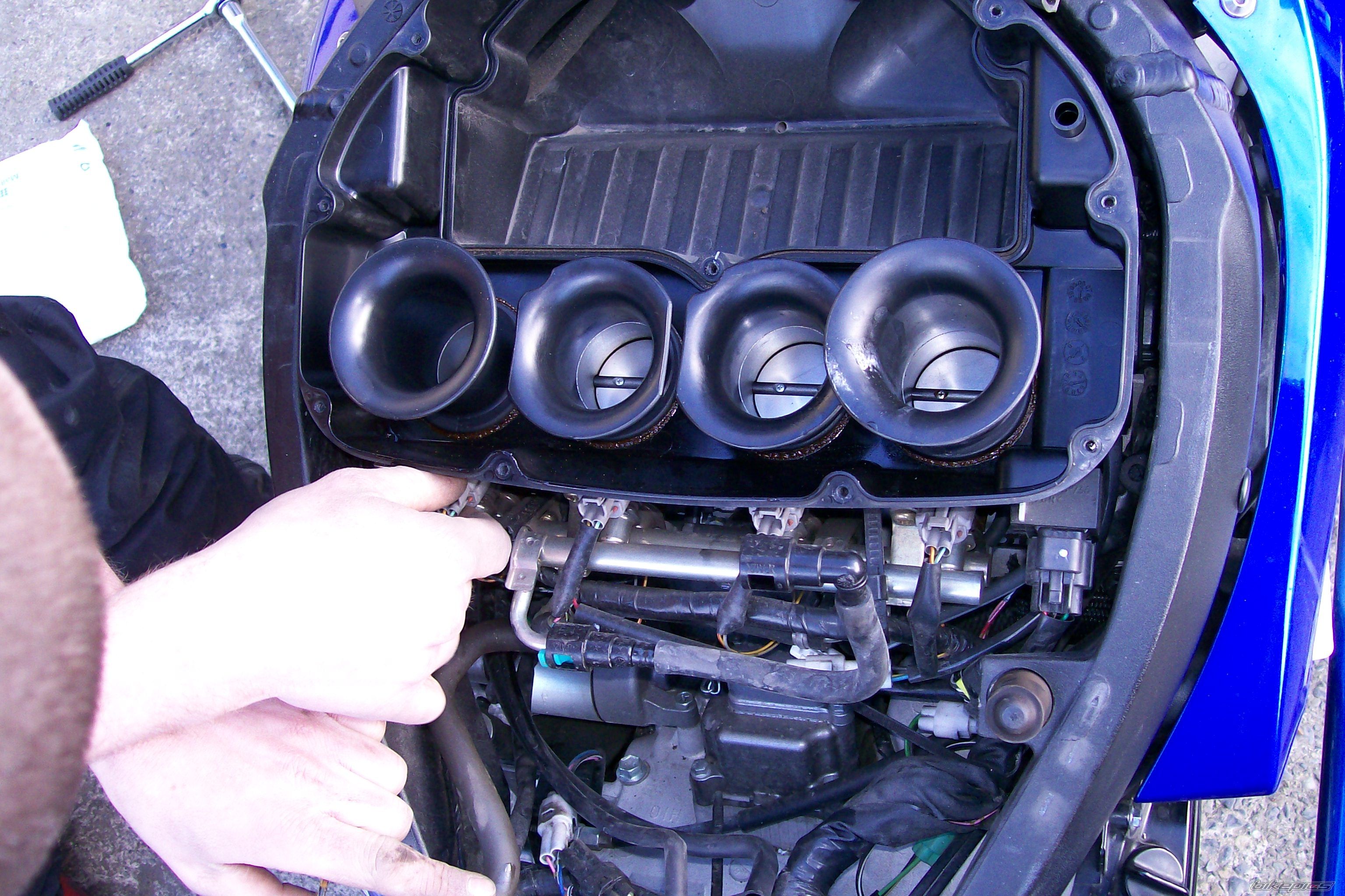 2006 SUZUKI GSX R 600 | Picture 927680 motorcycle photo