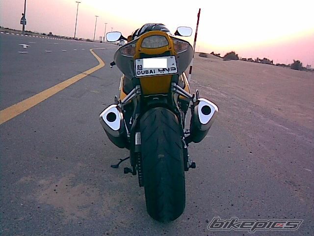 2007 SUZUKI GSX R 1000 | Picture 927912 motorcycle photo