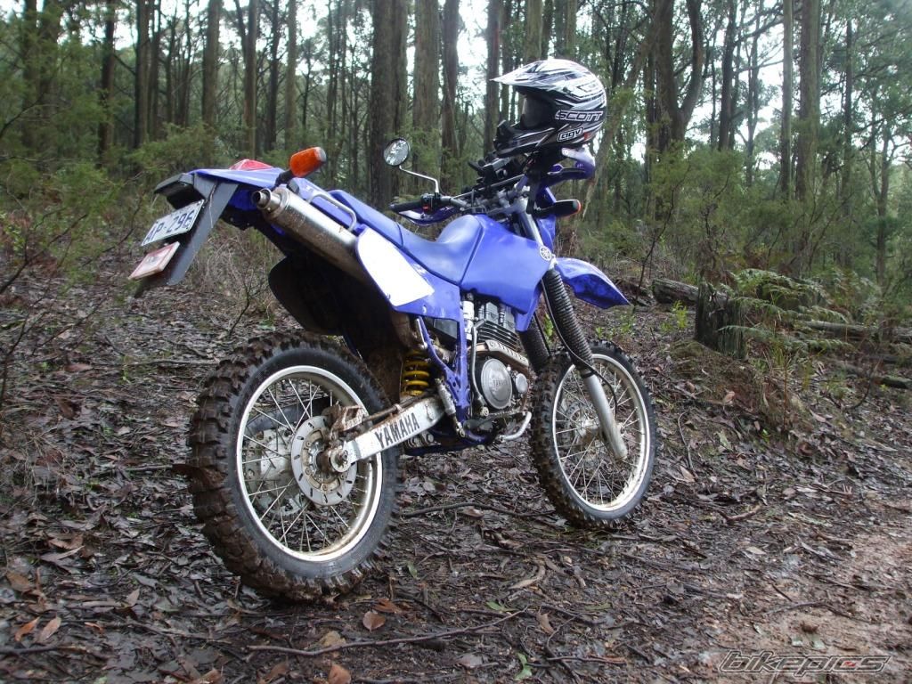 2003 YAMAHA TTR 250 | Picture 927962 motorcycle photo