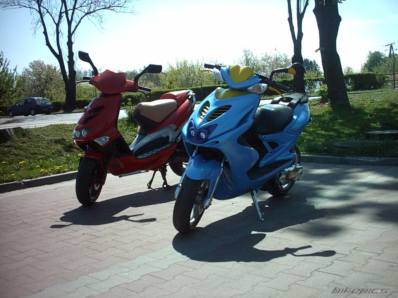 2003 APRILIA SR 50 | Picture 927964 motorcycle photo