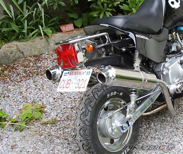 2007 HONDA Z 50 | Picture 928541 motorcycle photo