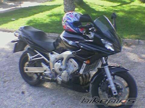 2005 YAMAHA FZ6 FAZER | Picture 929146 motorcycle photo