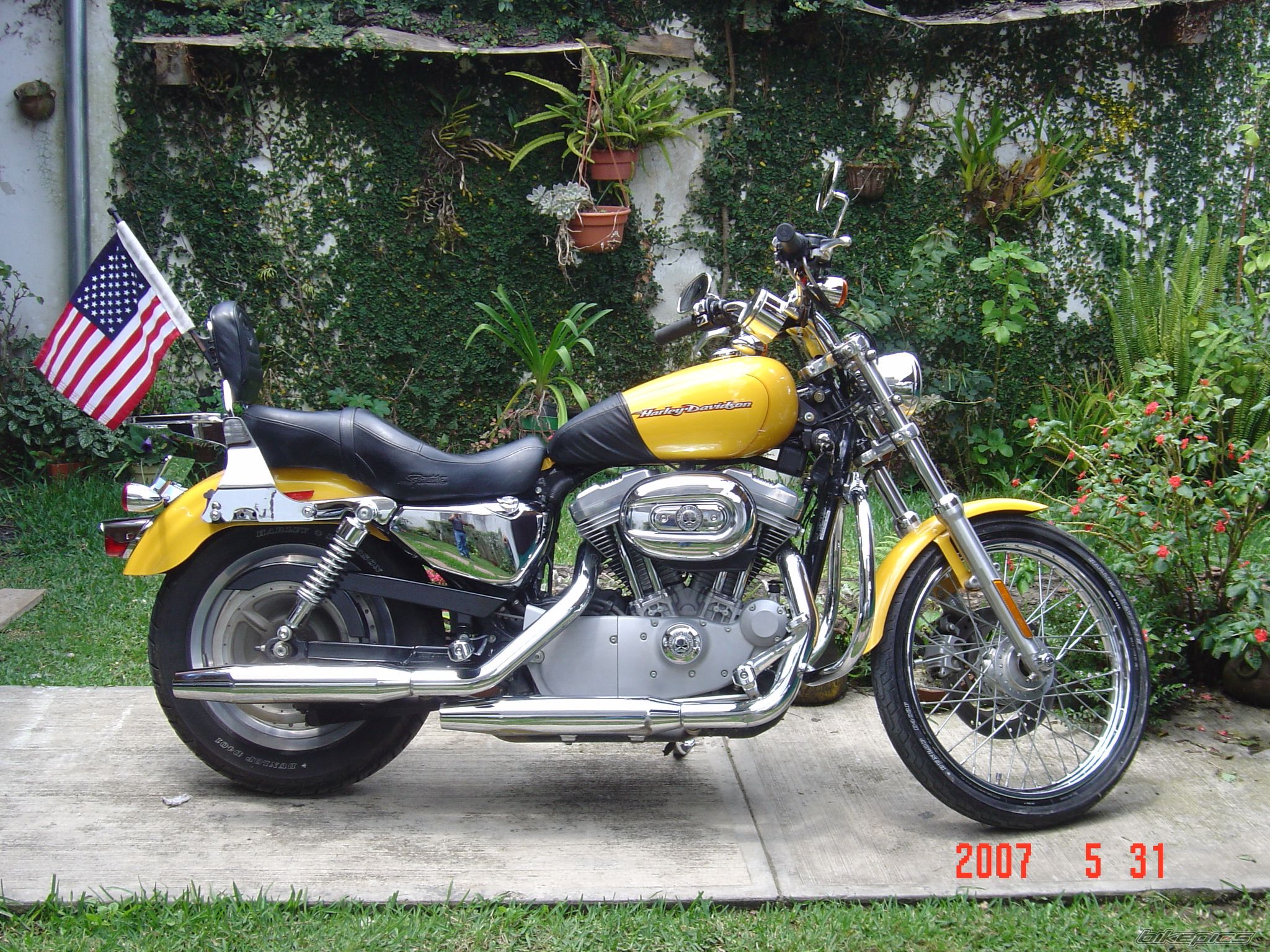 2005 HARLEY DAVIDSON XL 883C | Picture 929414 motorcycle photo