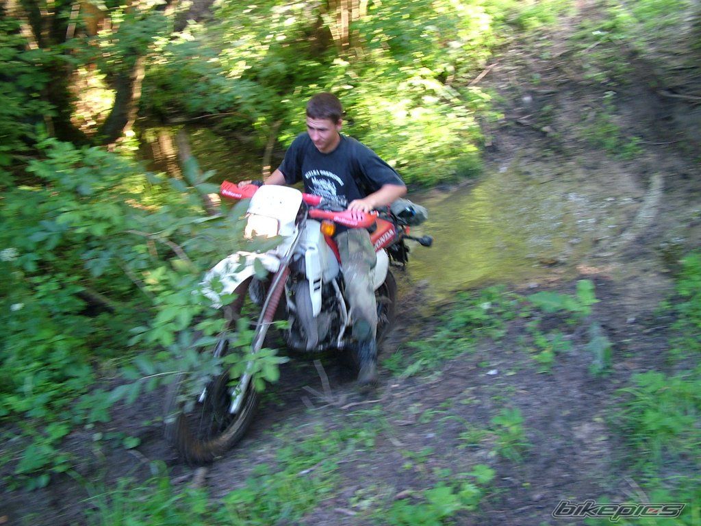 1995 YAMAHA DT 80 | Picture 929417 motorcycle photo